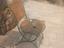 Immagine 3
