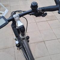 bicicletta pedalata assistita 