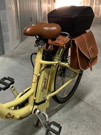Bicicletta elettrica