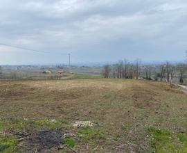 Terreno edificabile a Ziano Piacentino