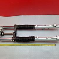 FORCELLA STELI TRIUMPH TIGER 955 2002 2006 955i 20