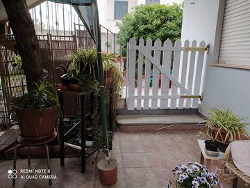 Cabras PenisolaSinis Pterra giardino LuglioAgosto