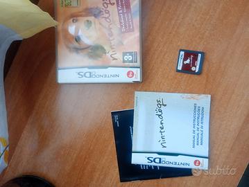 gioco Nintendo DS 