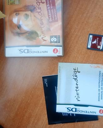 gioco Nintendo DS 