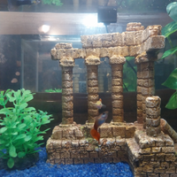 Acquario avviato con 4 pesci tipo guppy