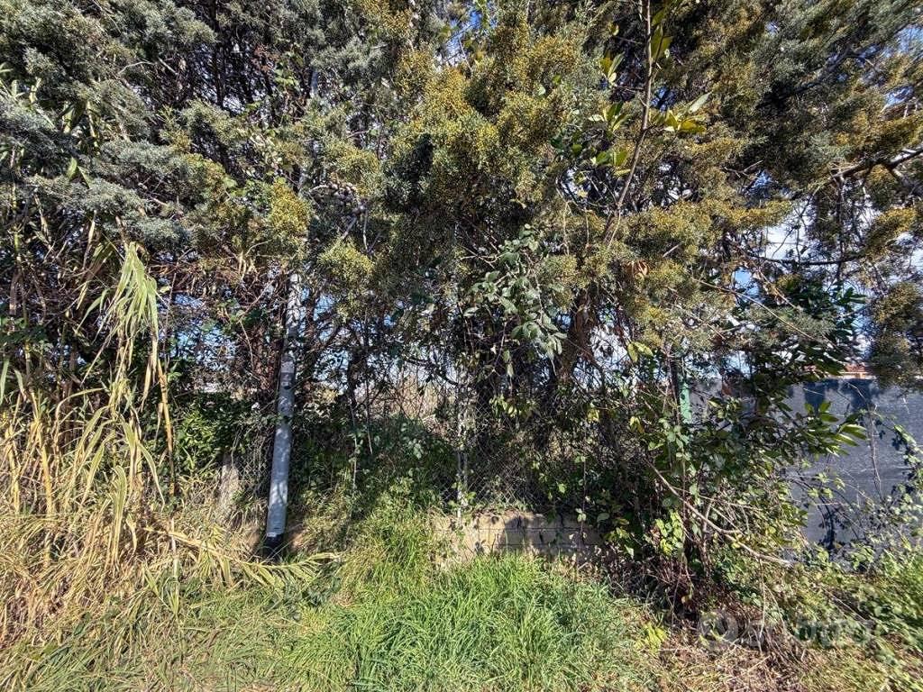 Terreno di 1055 m² a Roma - Ansicht 3