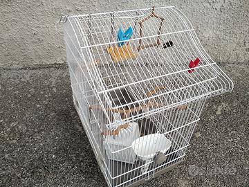 Gabbia voliera per uccelli 