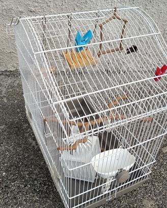 Gabbia voliera per uccelli 