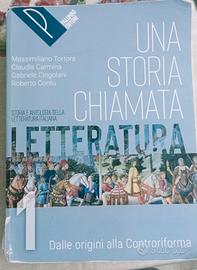 libro una storia chiamata letteratura 