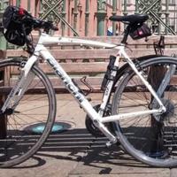 Bianchi Camaleonte taglia L