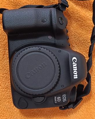 Canon 6D Mark 2 