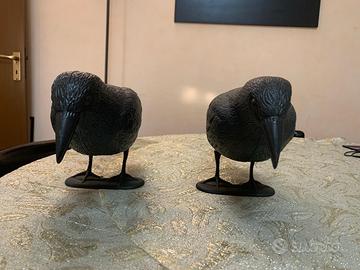 Simpatici corvi scaccia piccioni