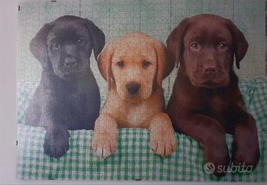 Quadri e puzzle