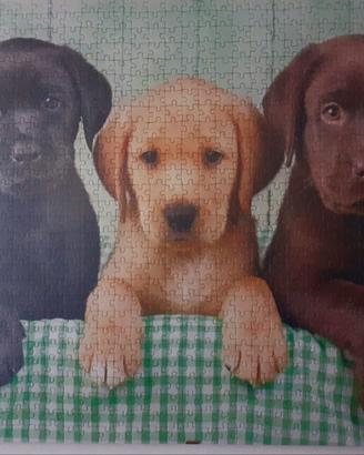 Quadri e puzzle