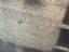 Immagine 7