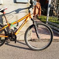 Bici da 24"