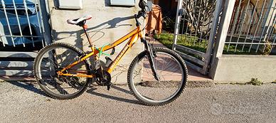 Bici da 24"