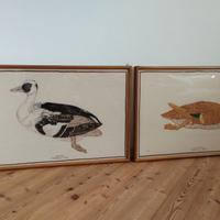 Quadri Pisanello. Anatra e Alzavola