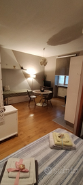 Grazioso monolocale vicino Porta Susa