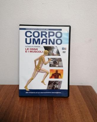 dvd del corpo umano