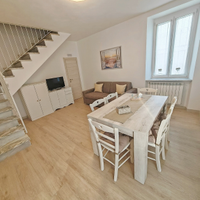 Versilia vacanze estate mensile/stagionale 7 posti