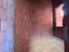 Immagine 11