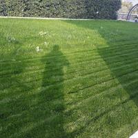 Terriccio ammendante per prato e giardino.