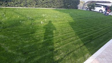 Terriccio ammendante per prato e giardino.