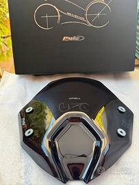 Cupolino Puig Fumè BMW R1250R