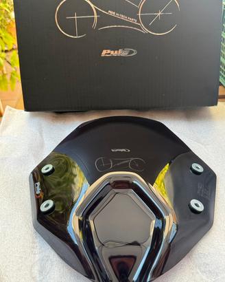 Cupolino Puig Fumè BMW R1250R