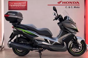 Kawasaki J300