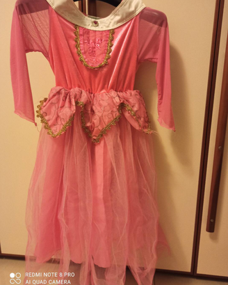Costume carnevale principessa
