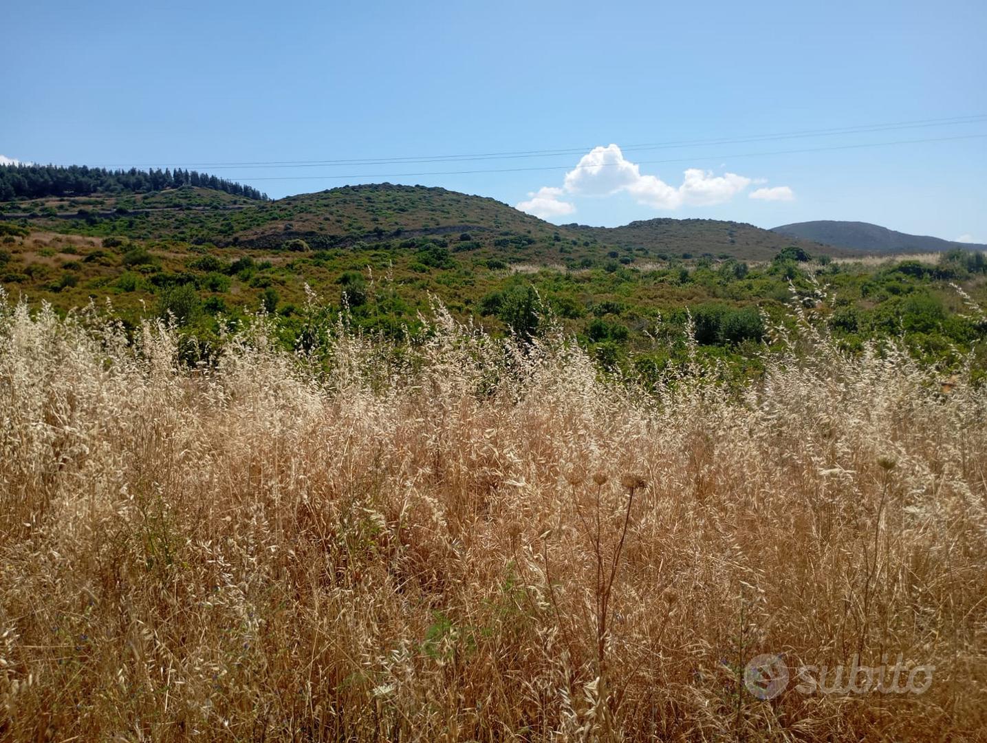 Donori: Terreno agricolo Località Sa Roja Fridrigu - Vista 3