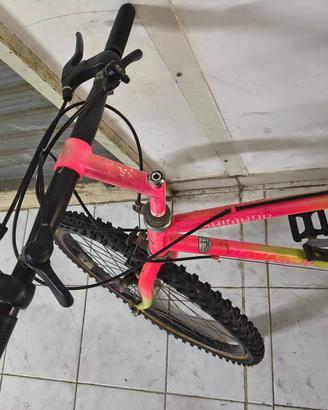 Montainbike