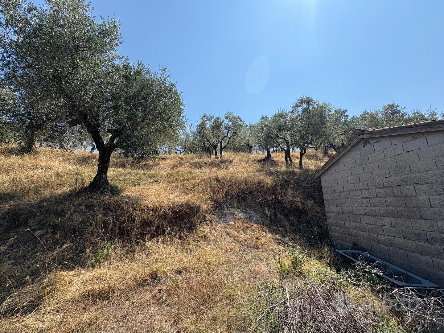 Rustico con uliveto - Vista 2