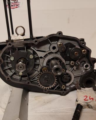 FANTIC TRIAL 240