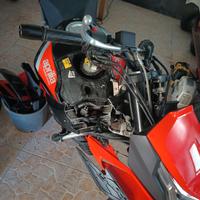 Ricambi Aprilia Tuono 125