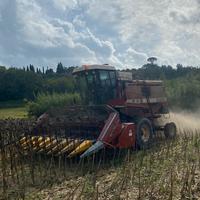 Mietitrebbia laverda3350 AL