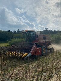 Mietitrebbia laverda3350 AL