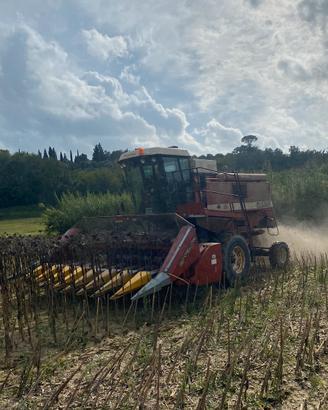 Mietitrebbia laverda3350 AL