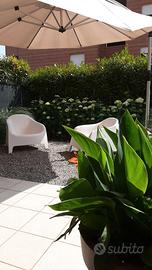 Sedute bianche da esterno