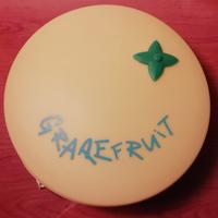 porta cd