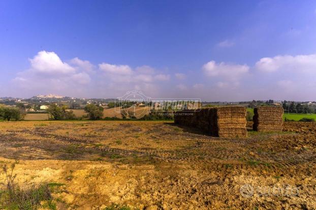 Terreno Agricolo in zona pianeggiante a Montecosar