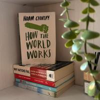 How the World Works-Noam Chomsky
