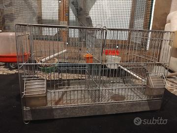 gabbia per canarini -coccorite 