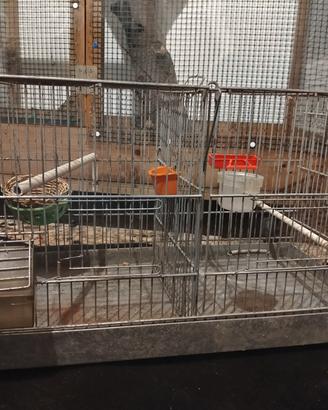 gabbia per canarini -coccorite 