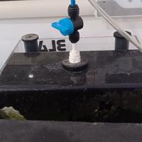 Acquario Juwel 450 litri .