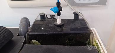 Acquario Juwel 450 litri .