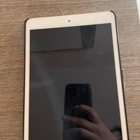 Ipad mini 2