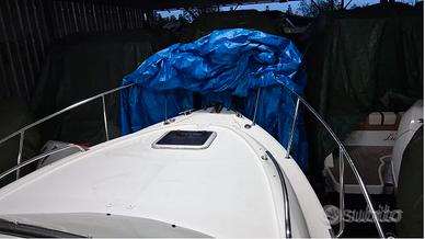 Saver 750 Cabin con motore Suzuki DF 300